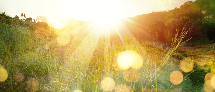 Beautiful sunrise in the mountain.Meadow landscape refreshment