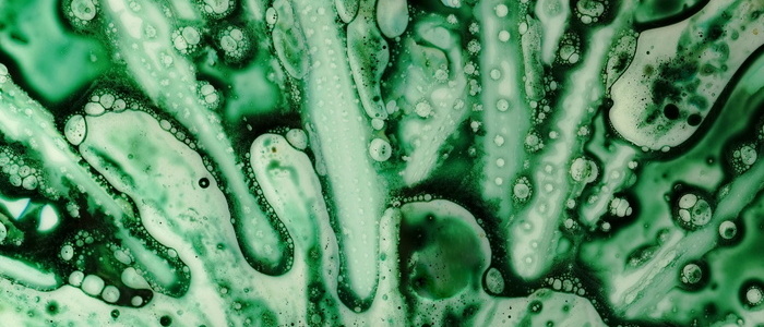 Plate dripping with colored water